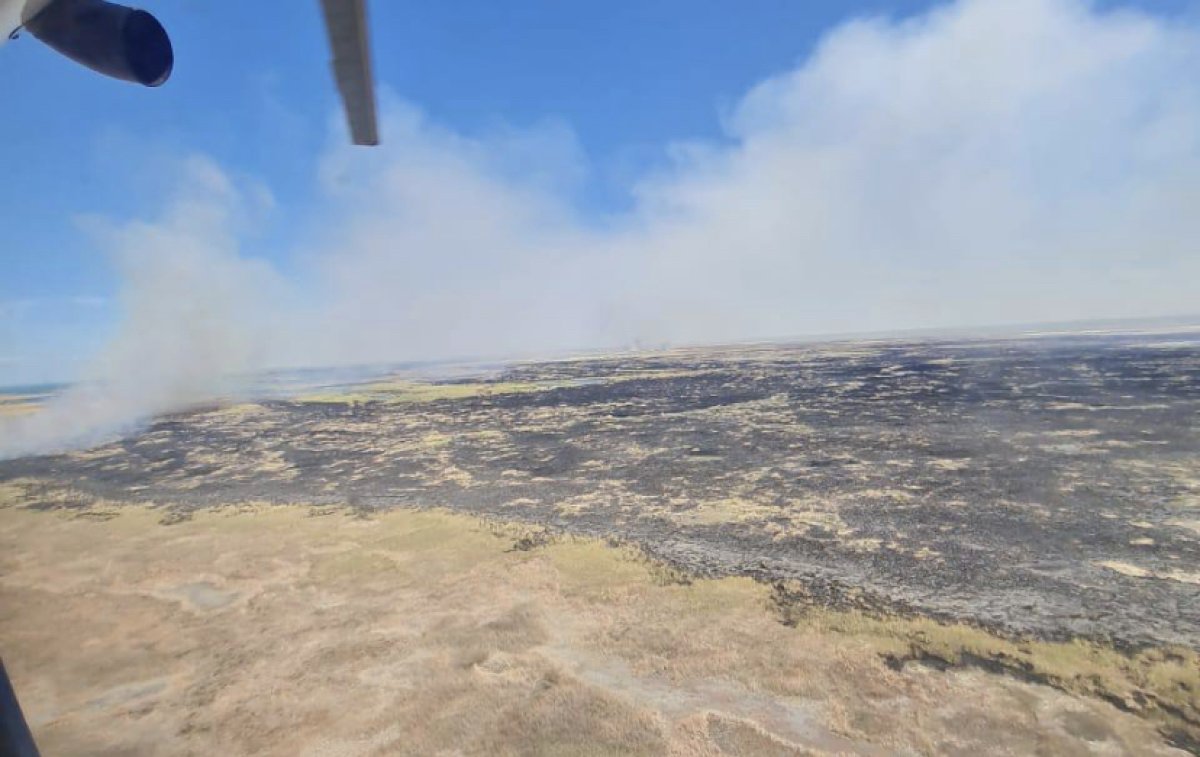Площадь пожара в Иле-Балхашском резервате снижается