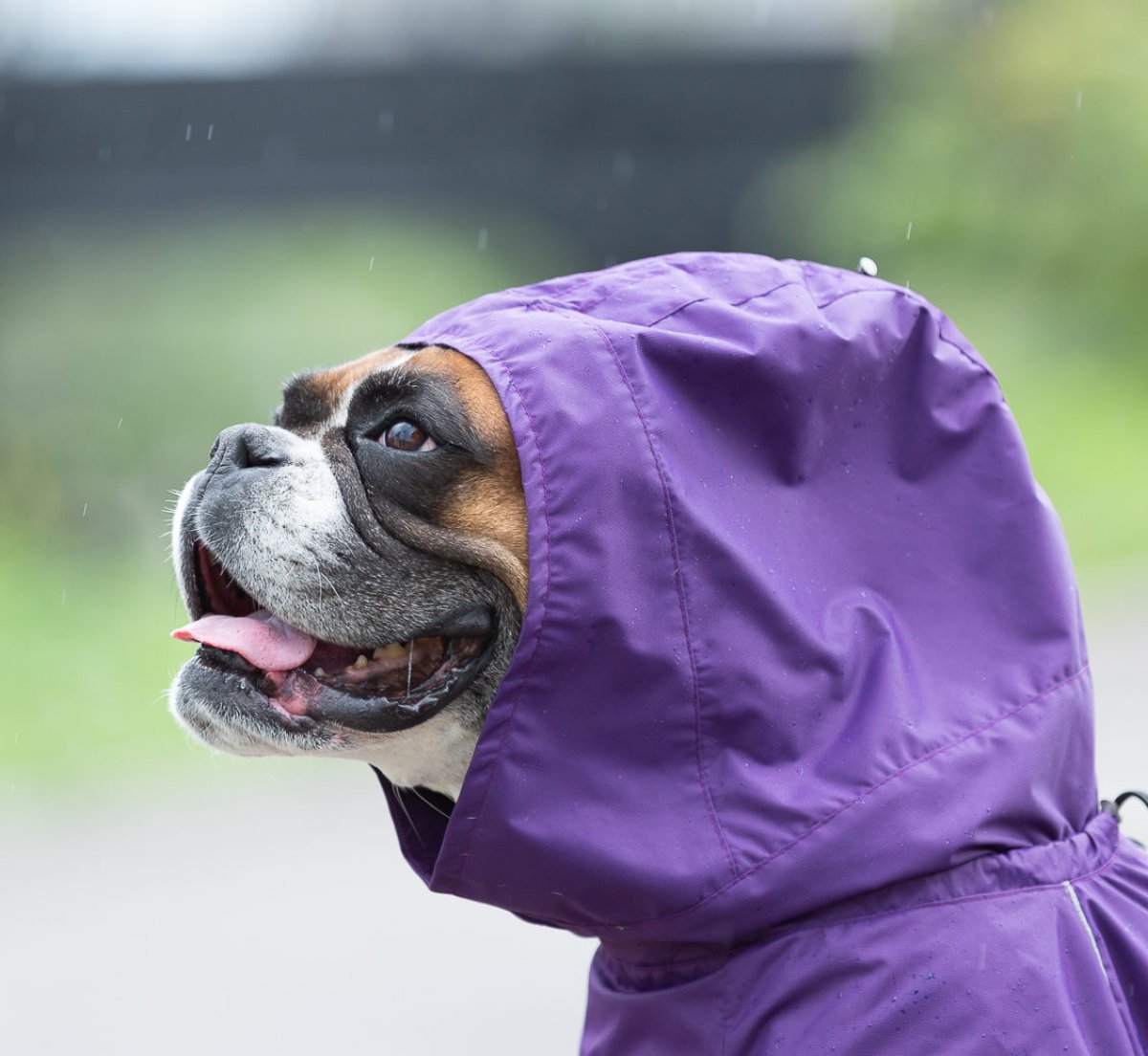 Прохлада пришла в Казахстан