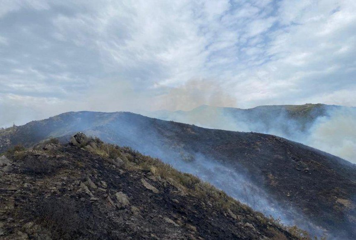 Шығыс Қазақстанда қатты желден дала өртінің беті қайтпай жатыр