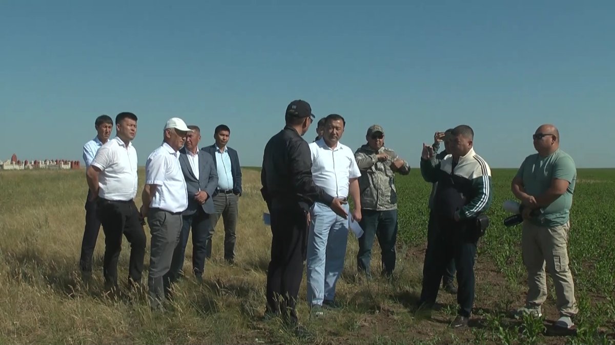 "AMANAT" партиясының араласуымен БҚО-дағы жер дауы сәтімен шешілді