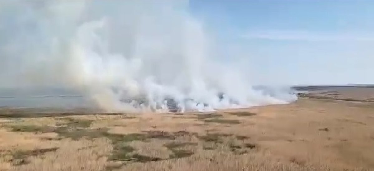 Больше недели тушат пожар в Иле-Балхашском резервате