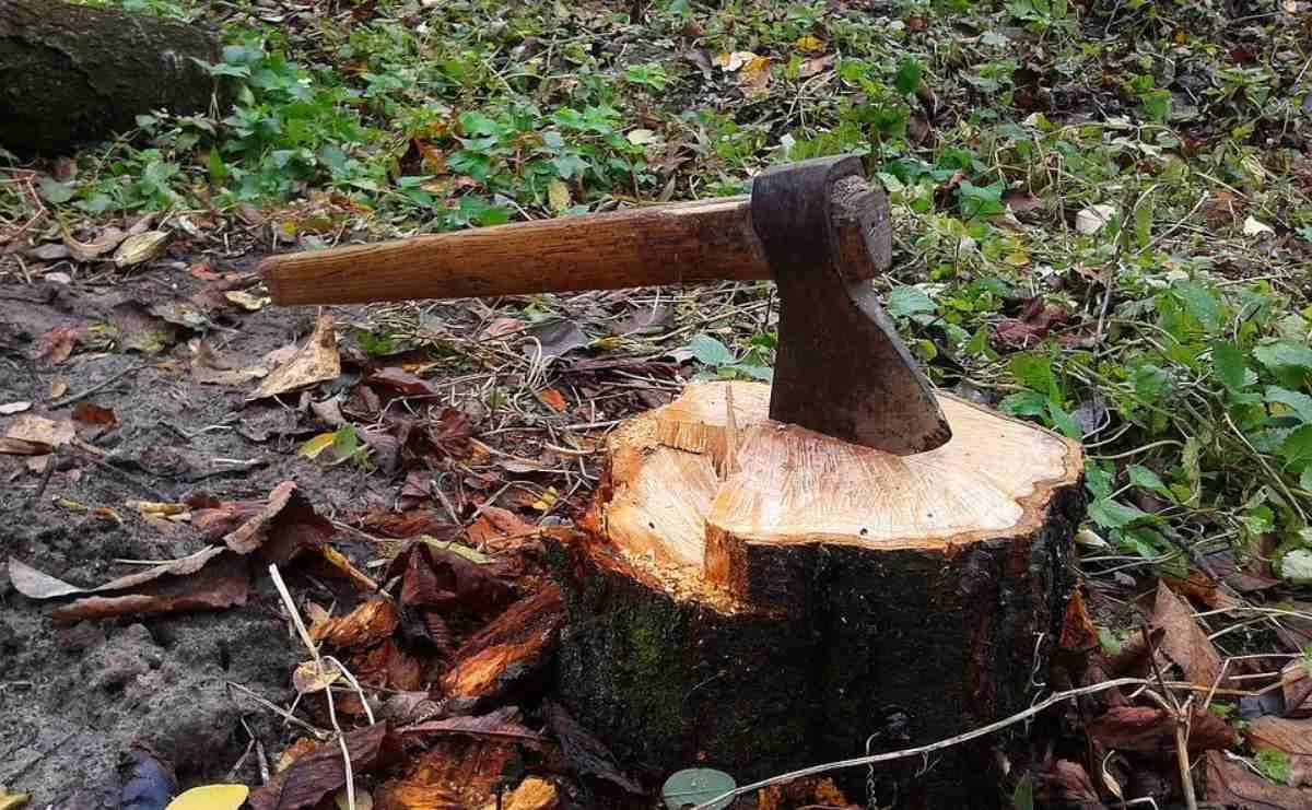 Түркістан облысында ер адам танысын балталап өлтірген