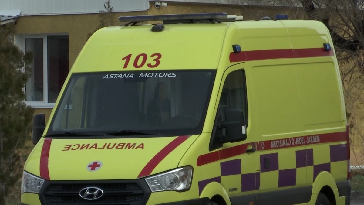 Ребёнок скончался от укуса гадюки в больнице Алматинской области