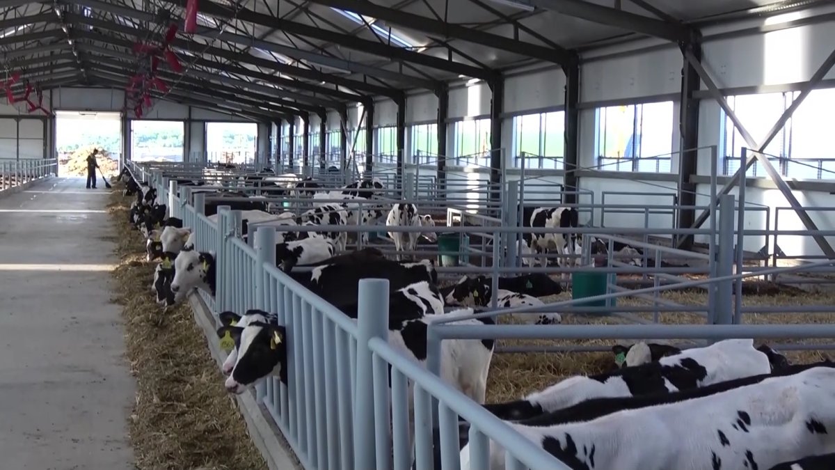 Шығыс Қазақстан облысында «Ауыл аманаты» жобасы аясында 320 жұмыс орны ашылады