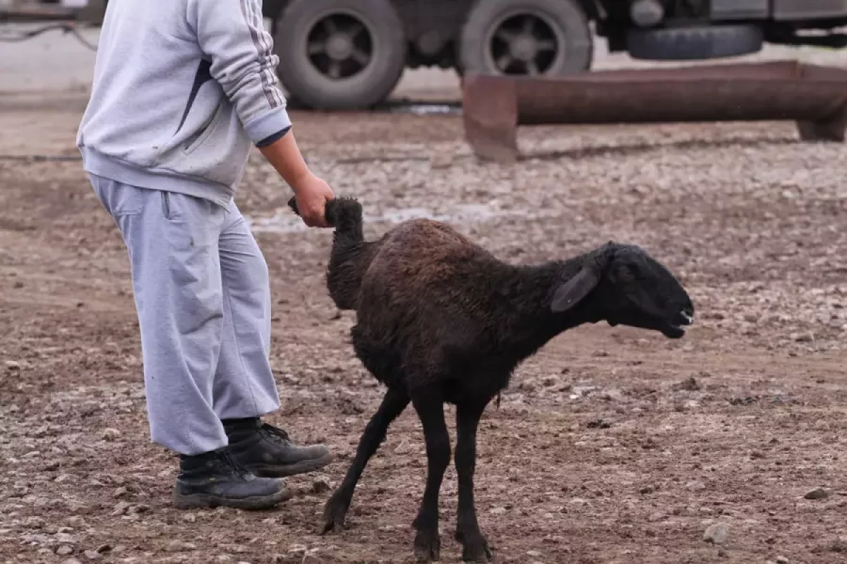 Эротикалық киіну ойыны