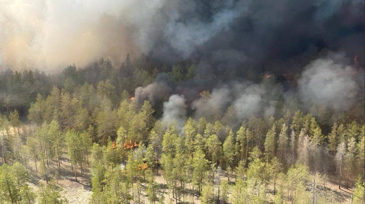 Вторые сутки тушат лесной пожар в области Абай