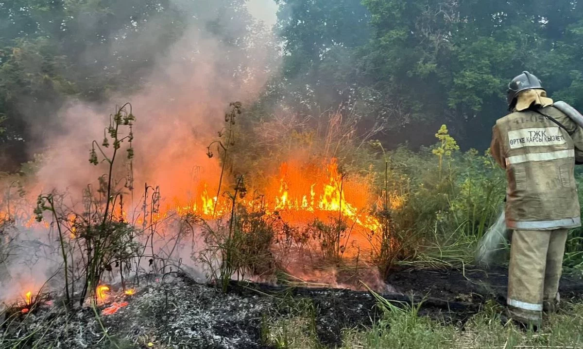 Абай облысындағы орман өрті: екі ауылға қауіп төніп тұр