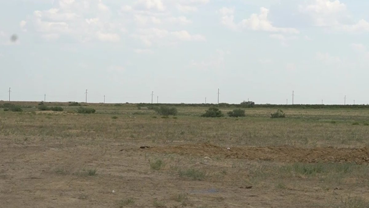 500 тысяч гектаров земель передано в собственность государства в Торгайском районе Костанайской области