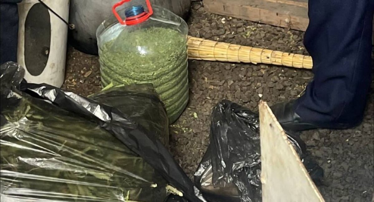 Целый наркоогород нашли у жителя отдаленного района Карагандинской области