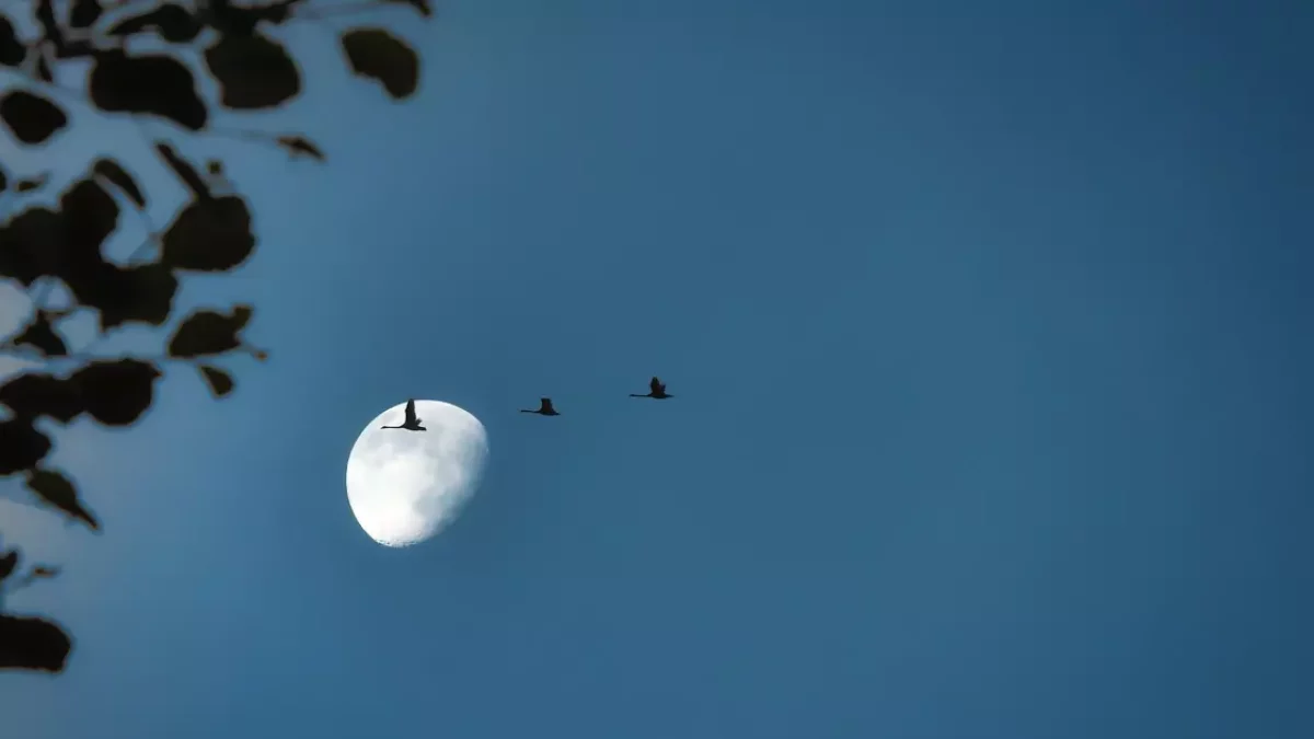 2023 жылдың шілде айына арналған Ай күнтізбесі: Ай фазалары, қолайлы және қолайсыз күндер