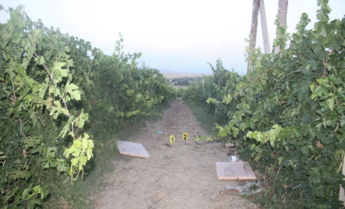 Түркістан облысында құстарды ату кезінде қайғылы оқиға болды