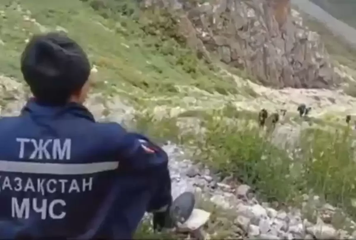 Түркістан облысында тау басынан құлап кеткен турист әлі табылған жоқ