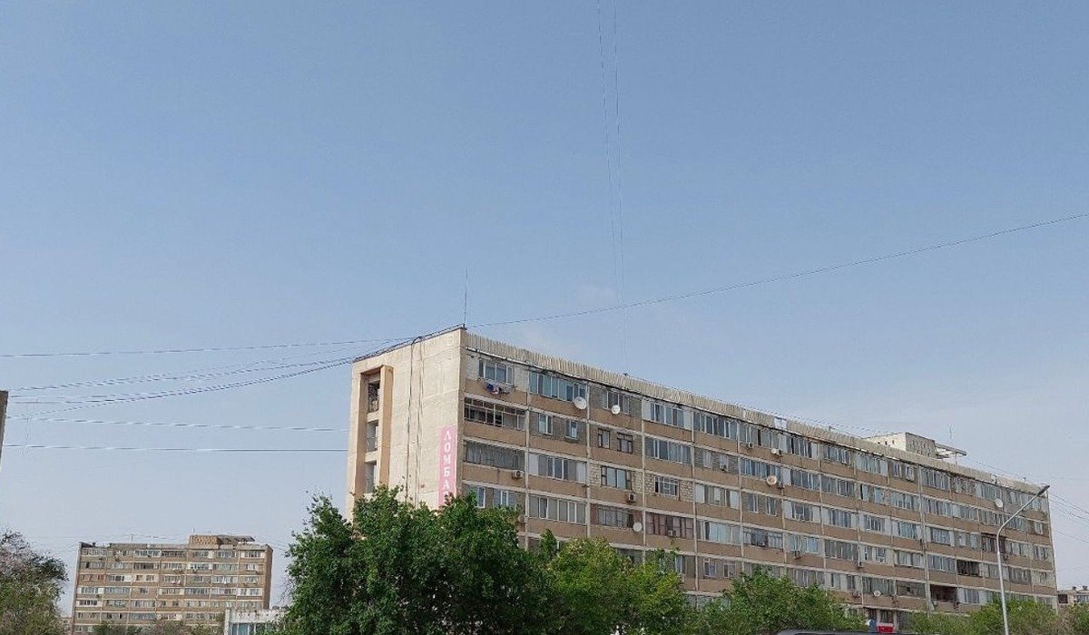 «Жетінші қабаттан мысықтарды лақтырды»: Ақтау тұрғыны көршісін жазалауды талап етті