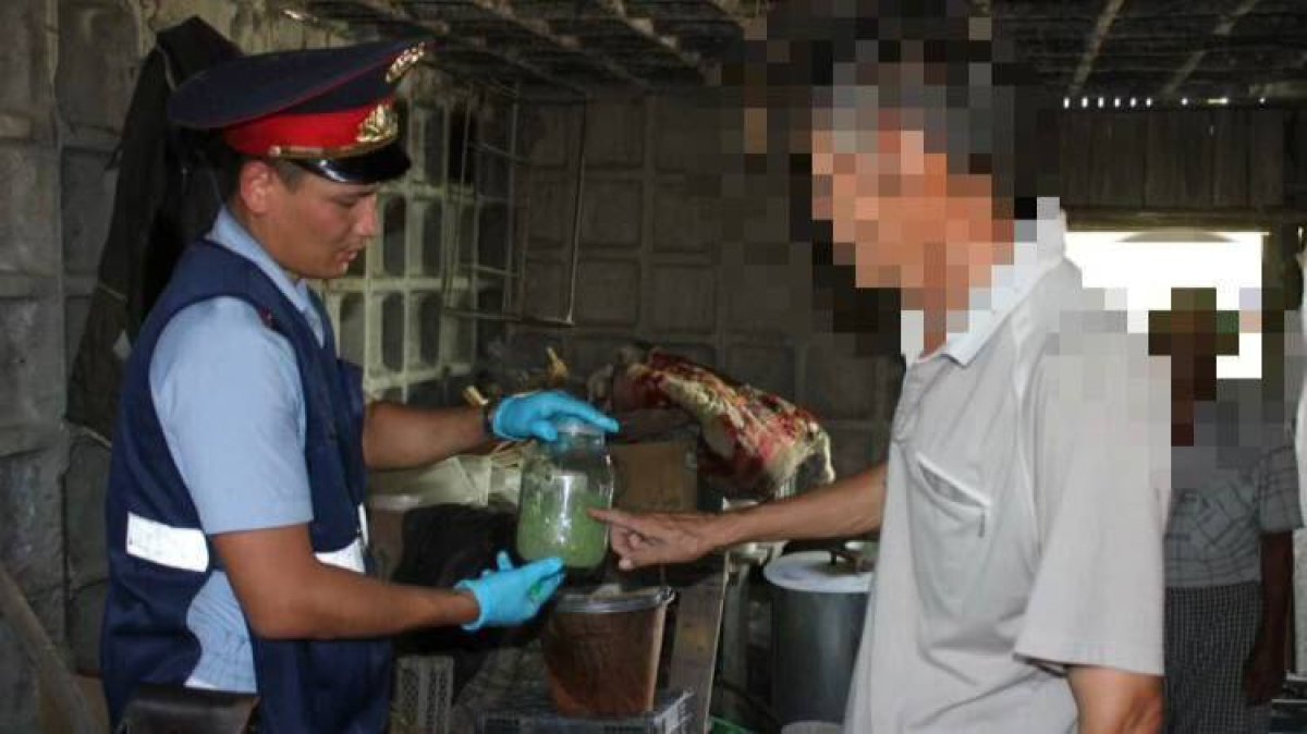 Қызылордалық азаматтан 41 түп сора өсімдігі тәркіленді