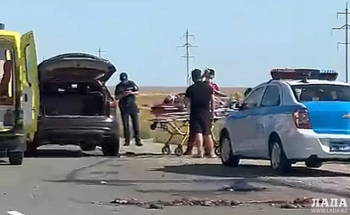 Ақтауда көлік түйені қағып өлтірді: зардап шеккендер бар