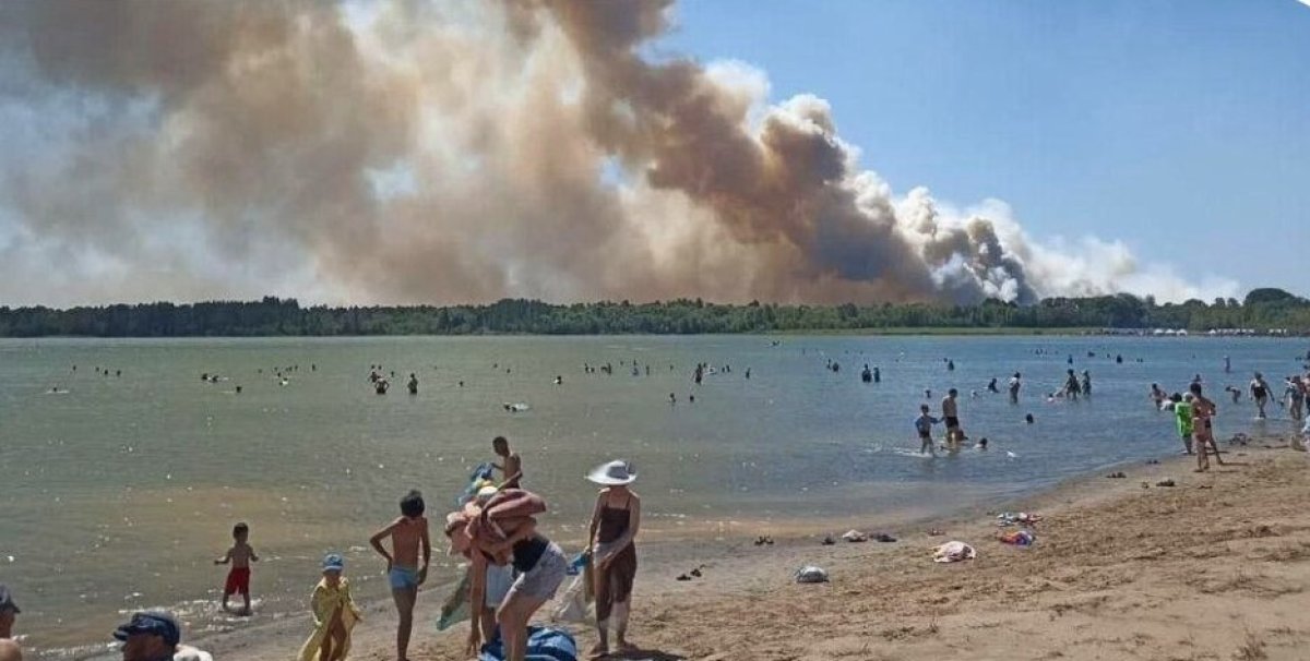 Гроза могла стать причиной лесного пожара в Семей орманы, - очевидцы