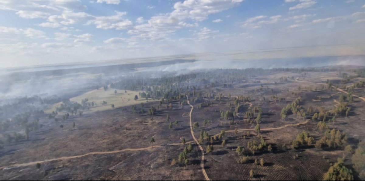 Пожар локализован, тушение продолжается: подробности борьбы с огнем в «Семей орманы»