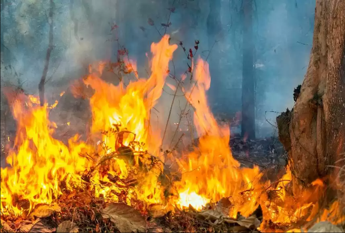 Павлодар облысындағы 3 ауылда төтенше жағдай жарияланады