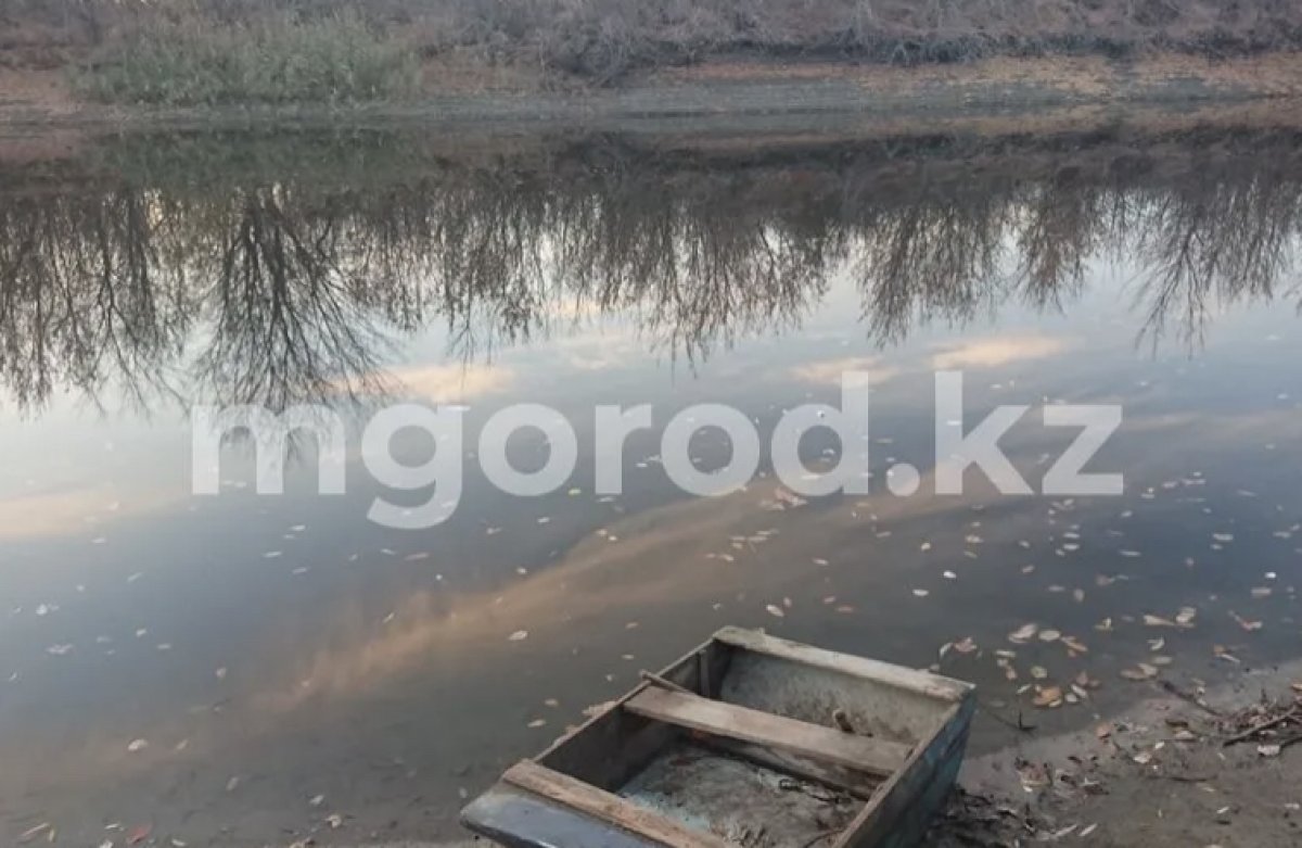 Труп ребёнка извлекли из лощины с водой в ЗКО