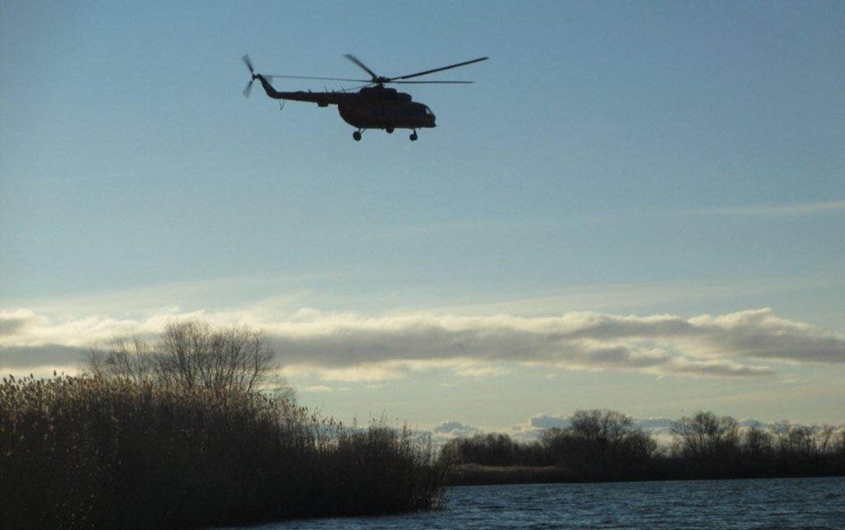 На "охоту" на браконьеров в ВКО намерены потратить 45 миллионов тенге