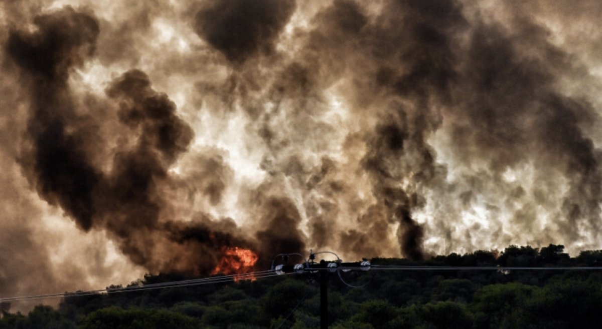 Туристов эвакуируют из отелей Греции из-за сильных пожаров