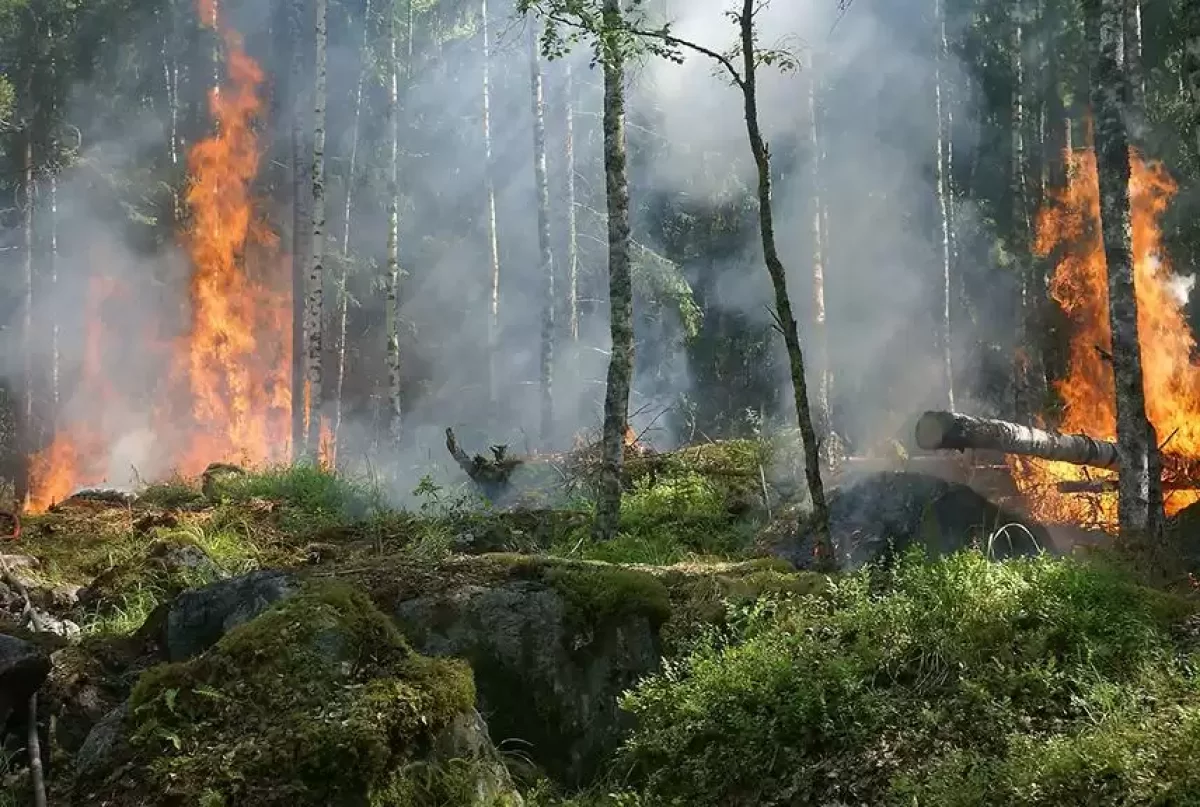 Грекияның Родос аралы отқа оранды, мыңдаған турист эвакуацияланып жатыр