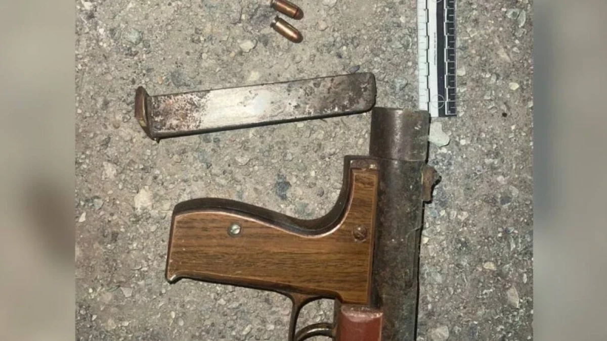 Павлодар облысының тұрғынынан пулемет табылды