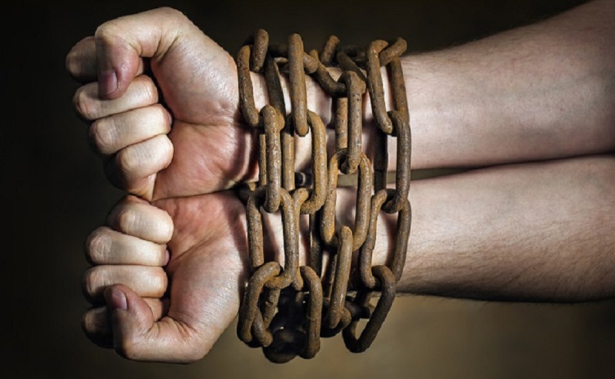 Азиялық транссексуалдық порно