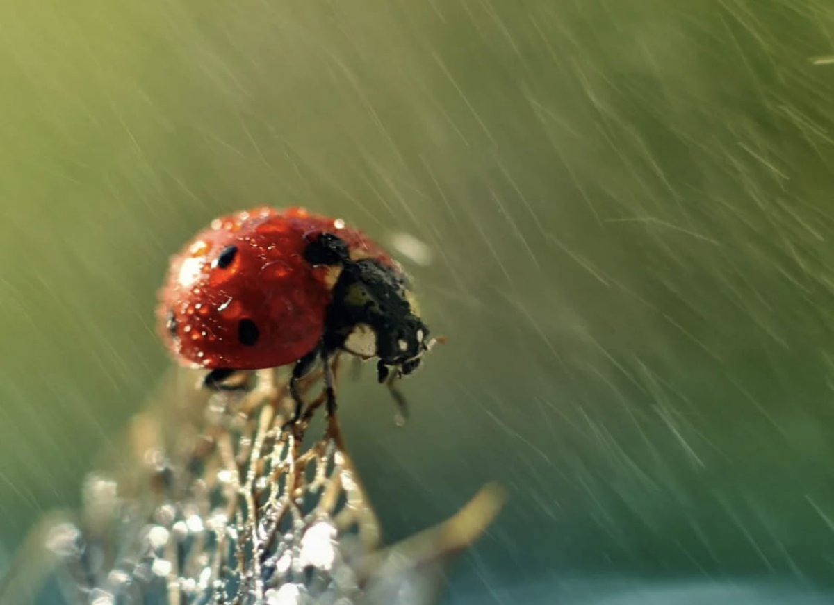 О погоде на выходные рассказали синоптики