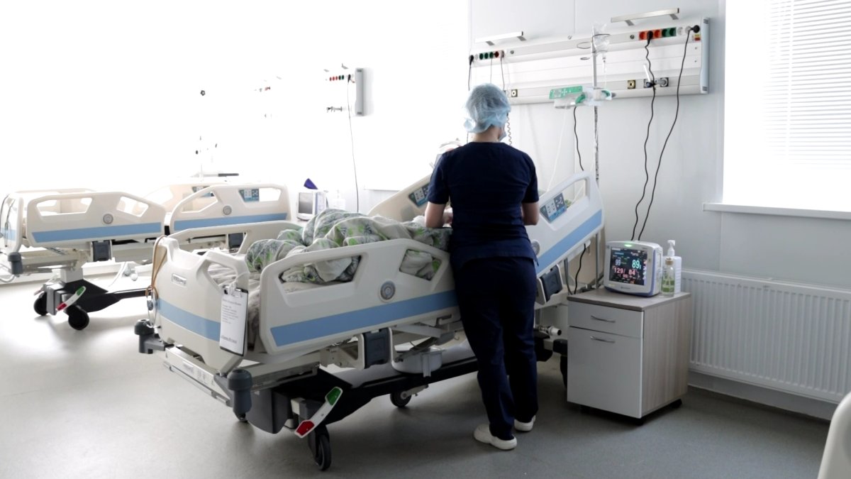 Қостанайда жылан шаққан қыз ауруханада ем алуда