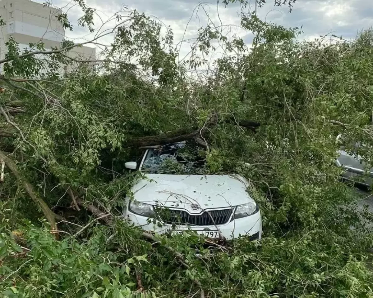 БҚО-да күшті жел салдарынан ағаш автокөлікке құлап, үйдің шатыры ұшты