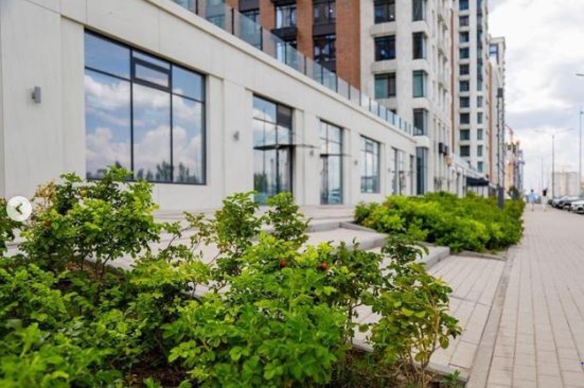 Миллион зеленых насаждений планируется высадить в этом году в столице