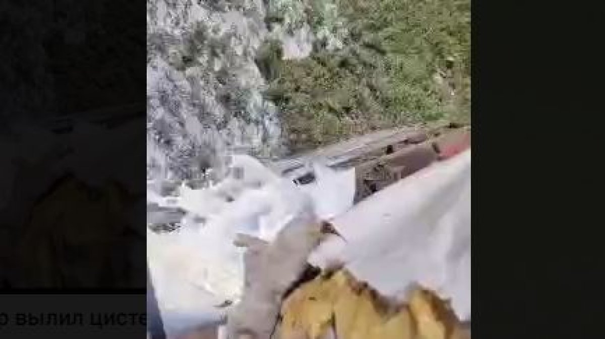 В СКО фермер вылил цистерну молока в степь из-за неудавшейся сделки