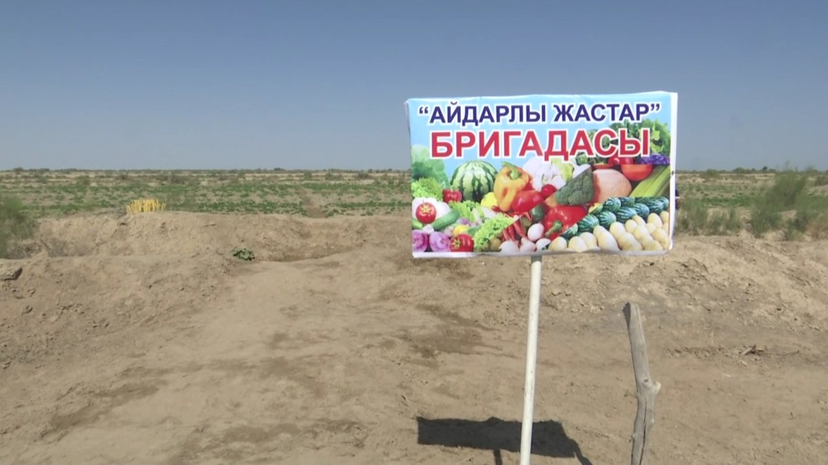 Қызылорда облысы Сырдария ауданының жастары еңбек бригадасын құрды