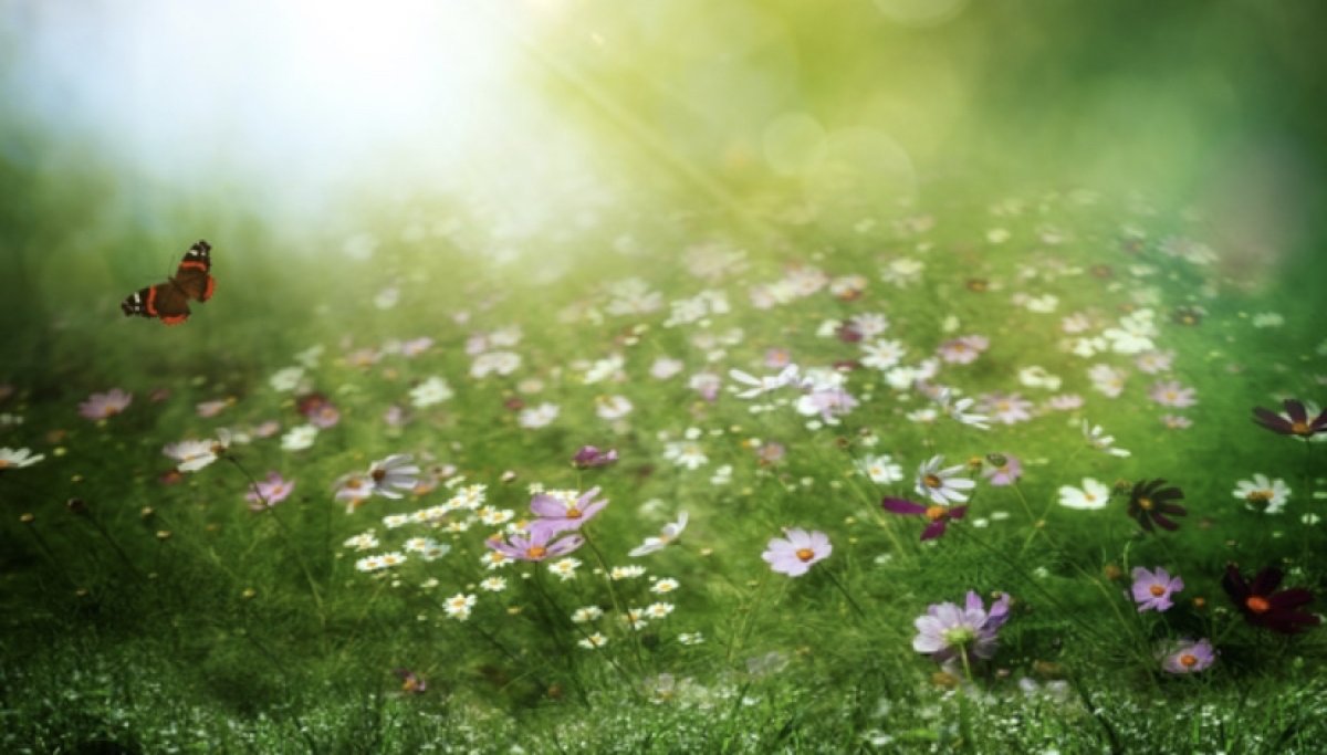Не брать тяжелого в руки и дурного - в голову Тельцам, быть скромнее - Рыбам: советы звёзд в воскресенье