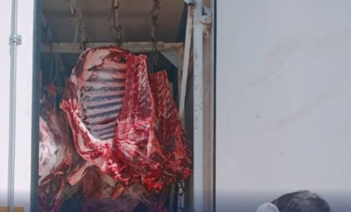 14 тонн мяса пытались незаконно вывезти из Казахстана в Узбекистан