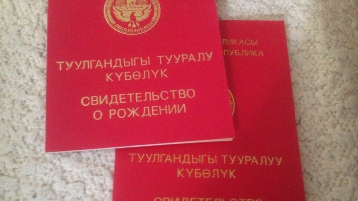 Госсекретарь Кыргызстана выступил против матчества