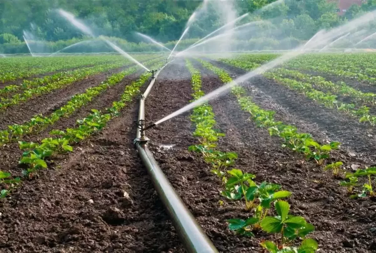 Жамбыл облысында егістікті суаруда заңсыз фактілер анықталды - министрлік