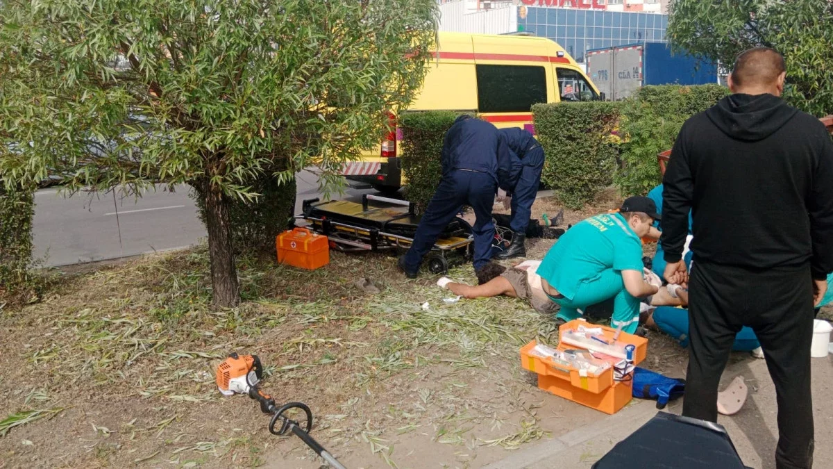 Павлодарда ағаш кесумен айналысқан жұмысшыларды тоқ соқты