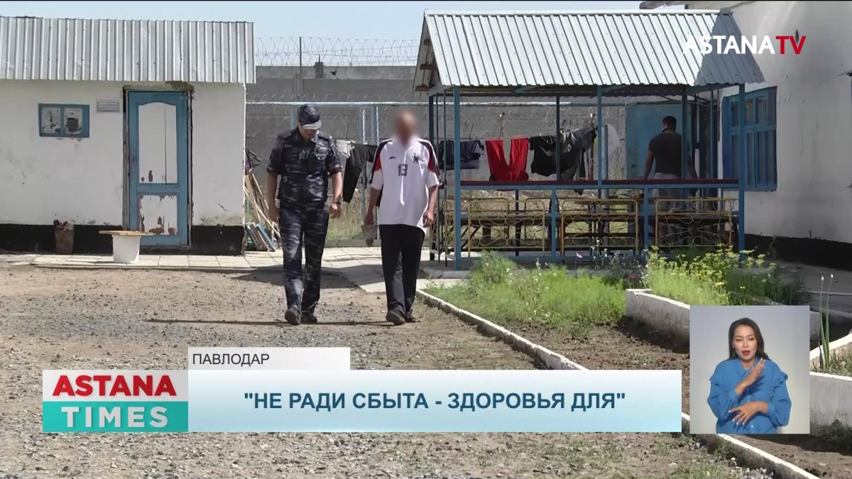 Два года тюрьмы получил житель ВКО за выращивание конопли на дачном участке