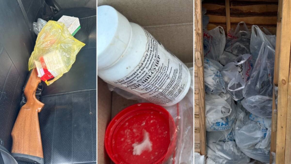 Ақмола облысында қаңғыбас иттердің етін сатқан ер адамға қатысты сот үкімі шықты