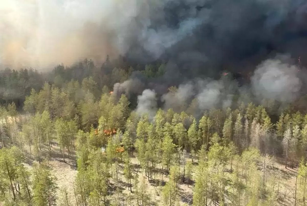 Өрт сөндірушілер «Ертіс орманы» резерватында орын алған тағы бір өртті сөндіруде