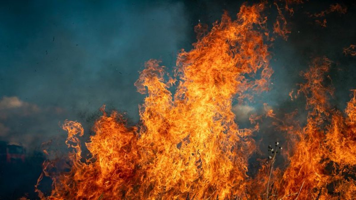 Гавайидегі орман өртінен қаза тапқандар саны 53-ке жетті