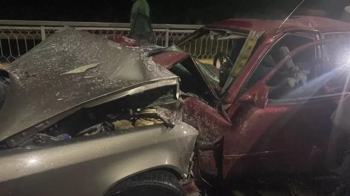 Кәмелетке толмаған жігіт айдаған: Жетісу облысында жол апатынан екі адам қаза тапты