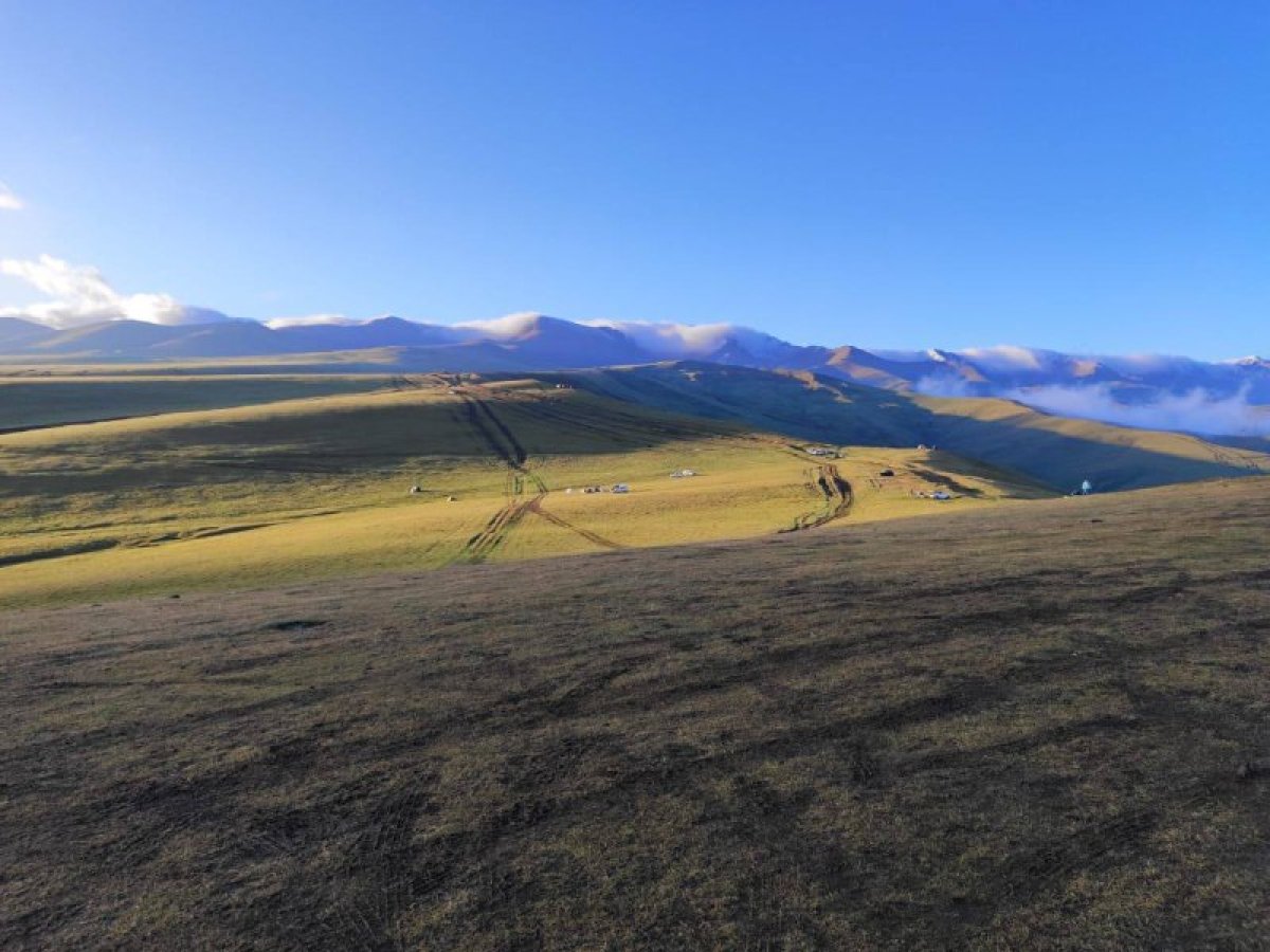 Семья грибников потерялась в Алматинской области