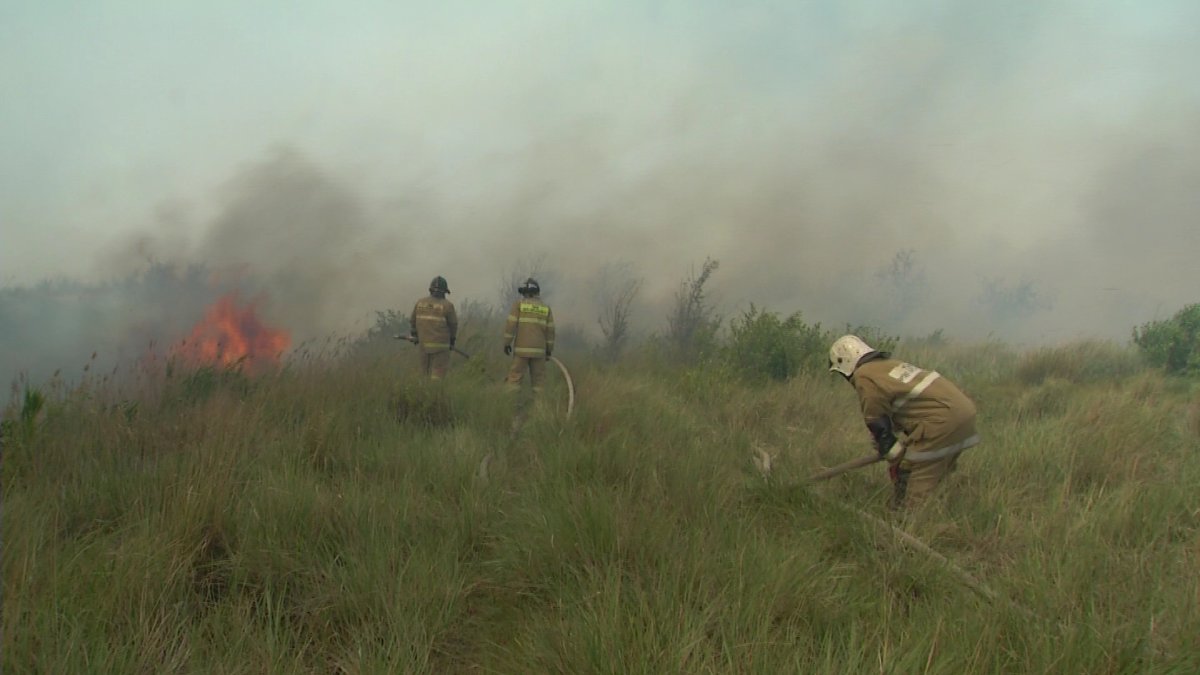 "Жеңімізге су тимесін", - өрт сөндіруші