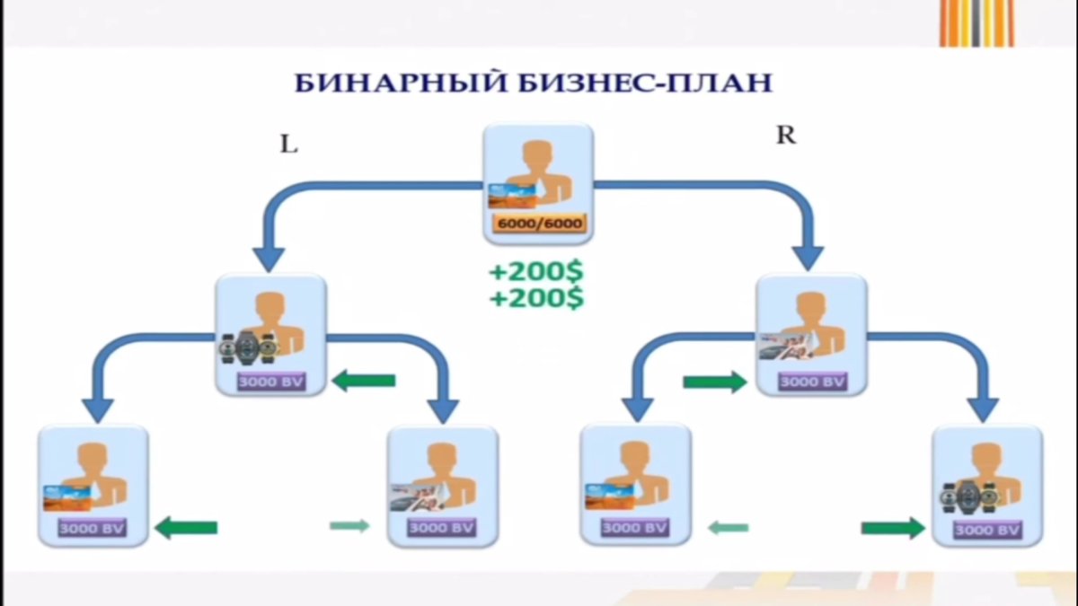 «Q-net» қаржы пирамидасының Алматыдағы филиалын басқарған 5 адамның ісі сотқа жолданды