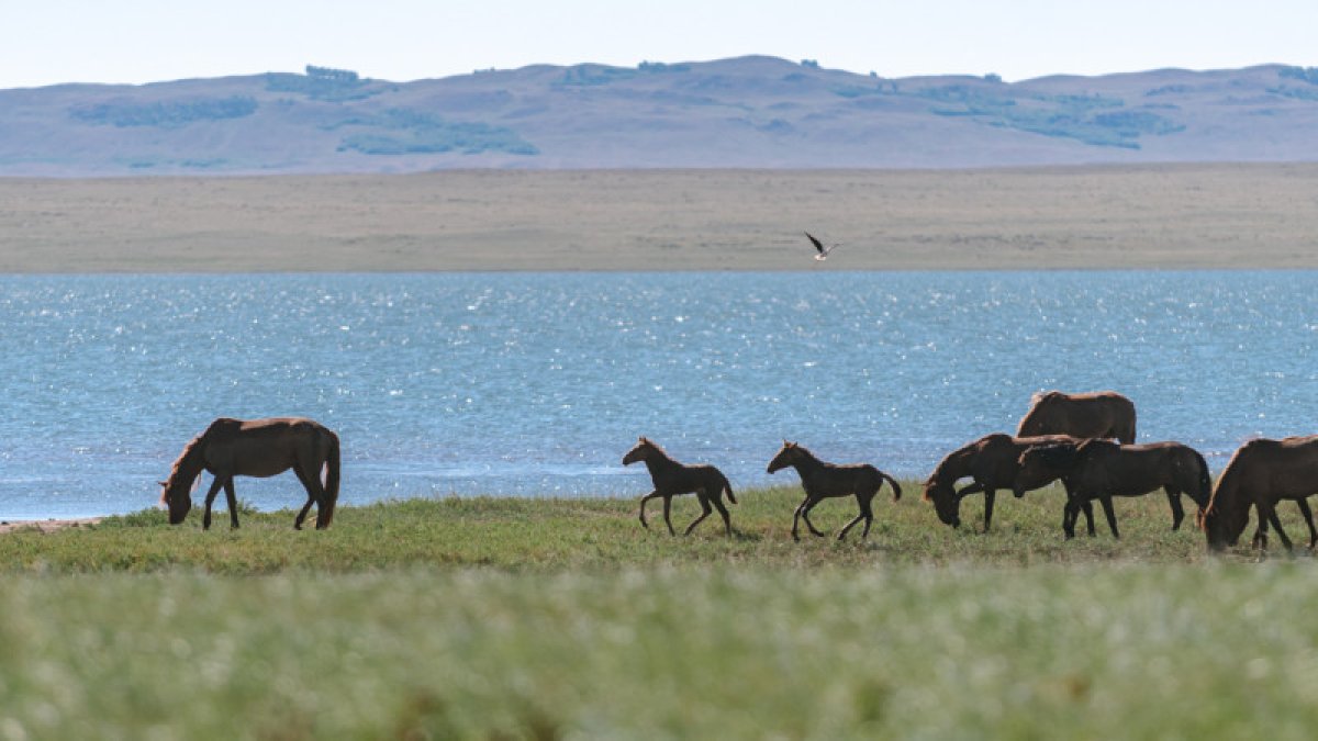 Қар және тұман: Қазақстанда ауа райы қандай болады?