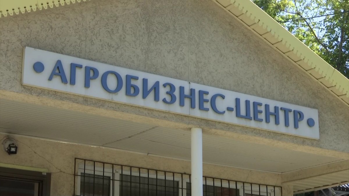 Алматы облысында ауыл кәсіпкерлерін қолдауға арналған азаматтық форум өтті