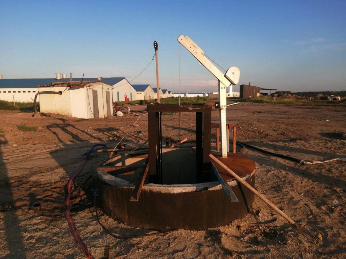 Трагедия на свиноферме: тела четверых рабочих нашли в выгребной яме в СКО